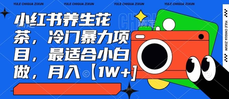小红书养生花茶，冷门暴力项目，最适合小白做，月入【1W+】-百货大全