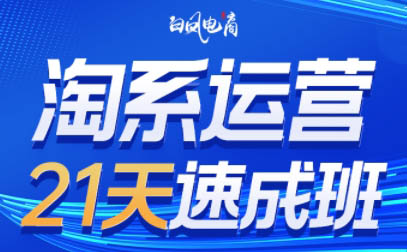 淘系运营21天速成班(更新9月)-百货大全