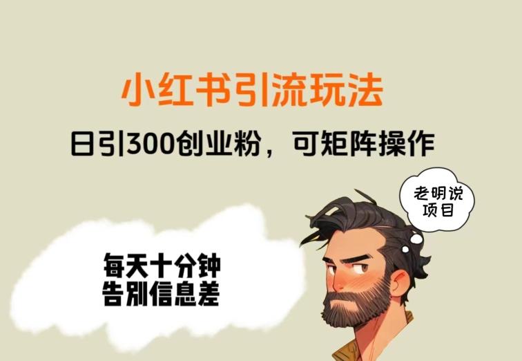 靠小红书视频日印300粉，两分钟一个视频轻松矩阵-百货大全