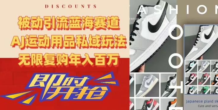 被动引流蓝海赛道，AJ运动用品私域玩法，无限复购年入百万【揭秘】-百货大全