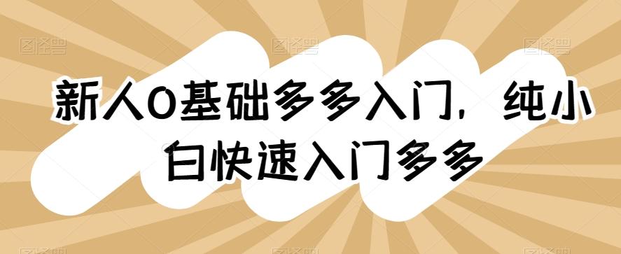 新人0基础多多入门，​纯小白快速入门多多-百货大全