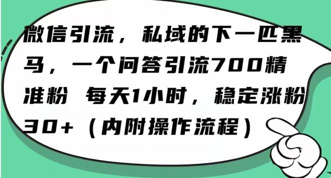 怎么搞精准创业粉？微信新赛道，每天一小时，利用Ai一个问答日引100精准粉-百货大全