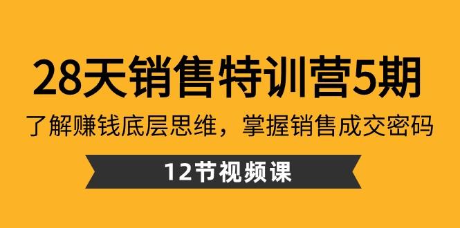 28天销售特训营5期：了解赚钱底层思维，掌握销售成交密码（12节课）-百货大全
