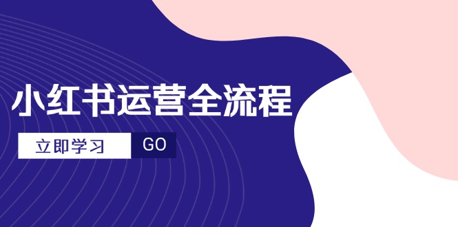 小红书运营全流程，爆款选题文案，视频制作技巧，进阶达人宝典-百货大全