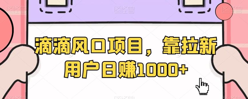 滴滴风口项目，靠拉新用户日赚1000+-百货大全