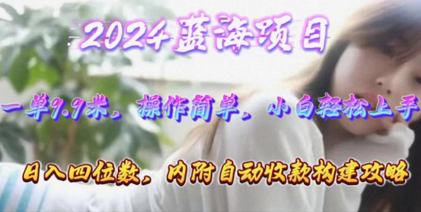 年轻群体的蓝海市场，1单9.9元，操作简单，小白轻松上手，日入四位数-百货大全