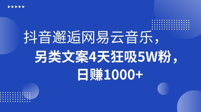 抖音邂逅网易云音乐，另类文案4天狂吸5W粉，日赚1000+【揭秘】-百货大全