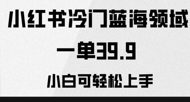 小红书冷门蓝海领域，一单39.9，小白可轻松上手-百货大全