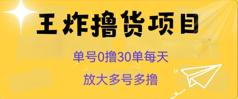 王炸撸货项目，单号0撸30单每天，多号多撸【揭秘】-百货大全