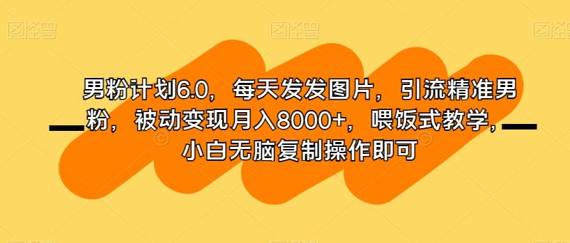 男粉计划6.0，每天发发图片，引流精准男粉，被动变现月入8000+，喂饭式教学，小白无脑复制操作即可-百货大全