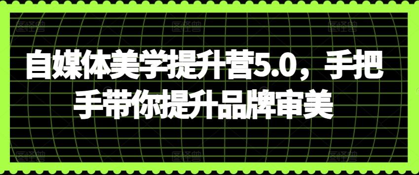 自媒体美学提升营5.0，手把手带你提升品牌审美-百货大全