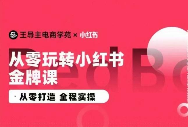 王导主·小红书电商运营实操课，​从零打造  全程实操-百货大全