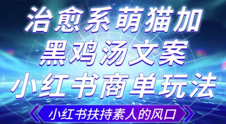 治愈系萌猫加+黑鸡汤文案，小红书商单玩法，3~10天涨到1000粉，一单200左右-百货大全