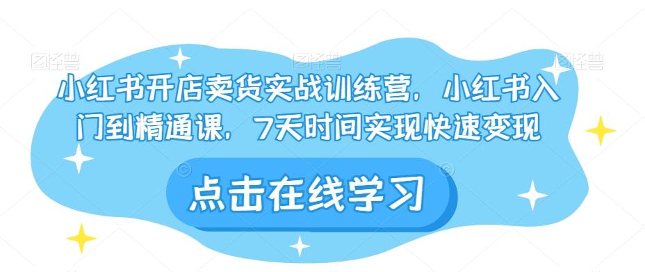 小红书开店卖货实战训练营，小红书入门到精通课，7天时间实现快速变现-百货大全