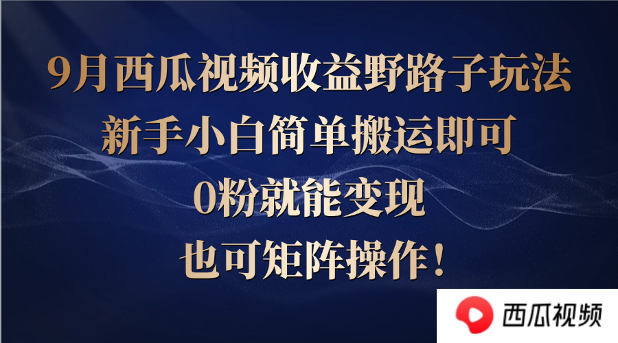 西瓜视频收益野路子玩法，新手小白简单搬运即可，0粉就能变现，也可矩…-百货大全