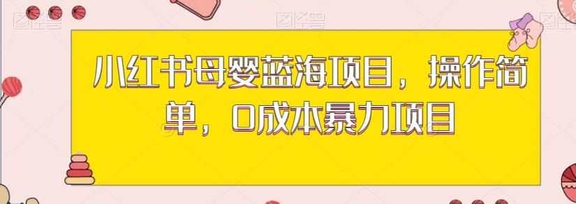 小红书母婴蓝海项目，操作简单，0成本暴力项目-百货大全