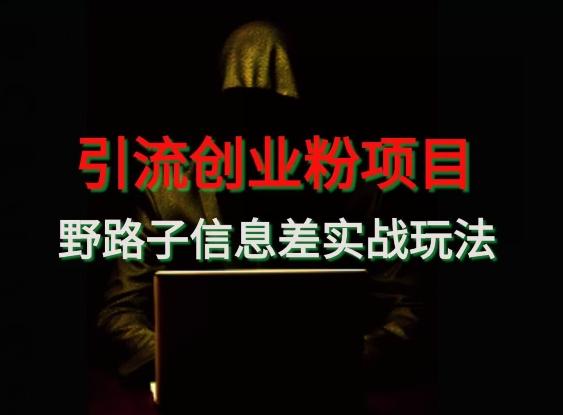【引流创业粉】野路子信息差玩法实战教学-百货大全