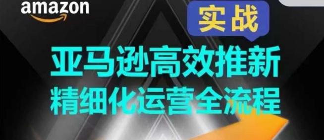 亚马逊高效推新精细化运营全流程，全方位、快速拉升产品排名和销量!-百货大全