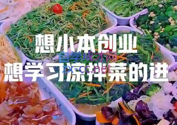 李记·精品凉拌菜系列热卤系列教程-百货大全