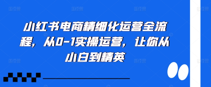 小红书电商精细化运营全流程，从0-1实操运营，让你从小白到精英-百货大全