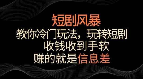 短剧风暴，教你冷门玩法，玩转短剧，收钱收到手软【揭秘】-百货大全