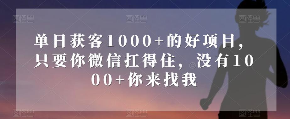 单日获客1000+的好项目，只要你微信扛得住，没有1000+你来找我【揭秘】-百货大全