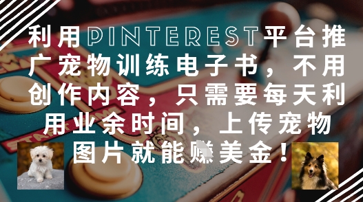 利用Pinterest平台推广宠物训练电子书，不用创作内容，只需要每天利用业余时间，上传宠物图片就能挣美金!-百货大全