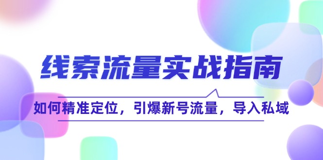 线 索 流 量-实战指南：如何精准定位，引爆新号流量，导入私域-百货大全