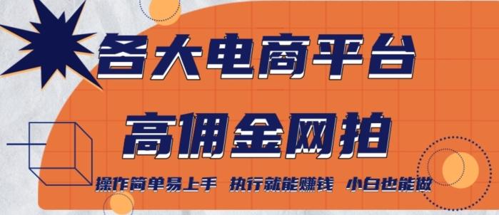 各大电商平台高佣金网拍，操作简单易上手，执行就能赚钱，小白也能做-百货大全