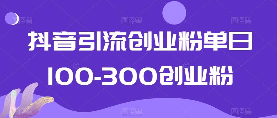 抖音引流创业粉单日100-300创业粉【揭秘】-百货大全
