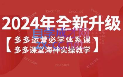 海神老师·拼多多运营必学体系课-百货大全
