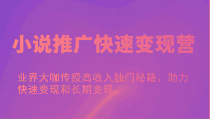 小说推广快速变现营-业界大咖传授高收入独门秘籍，助力快速变现和长期变现。-百货大全