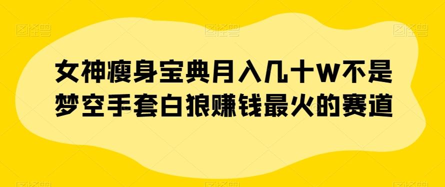 女神瘦身宝典月入几十W不是梦空手套白狼赚钱最火的赛道【揭秘】-百货大全