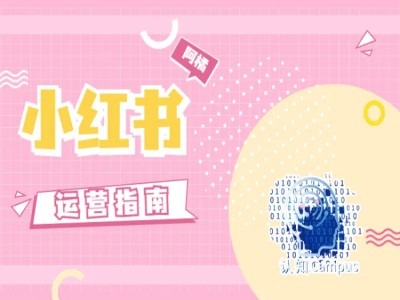 小红书运营指南，没有套路，全是经验-百货大全