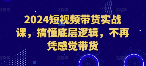 2024短视频带货实战课，搞懂底层逻辑，不再凭感觉带货-百货大全