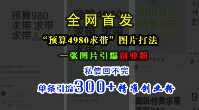 小红书“预算4980带我飞”图片打法，一张图片引爆创业粉，私信回不完，单条引流300+精准创业粉-百货大全