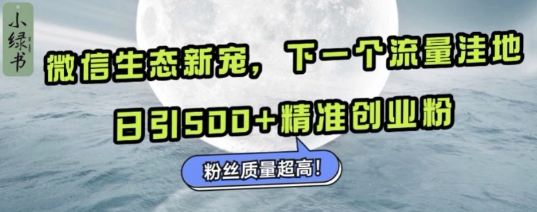 微信生态新宠小绿书：下一个流量洼地，日引500+精准创业粉，粉丝质量超高-百货大全