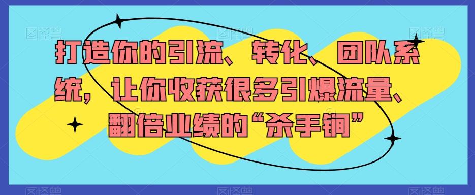 打造你的引流、转化、团队系统，让你收获很多引爆流量、翻倍业绩的“杀手锏”-百货大全