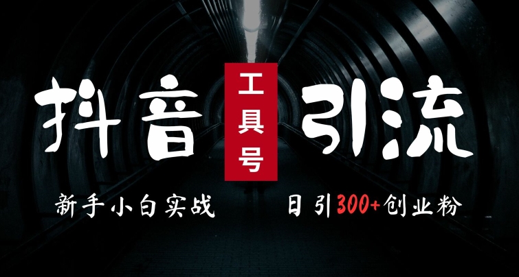 2024最新抖音工具号引流玩法，高效日引300+创业粉，当天变现5k，小白也可成为实战高手-百货大全