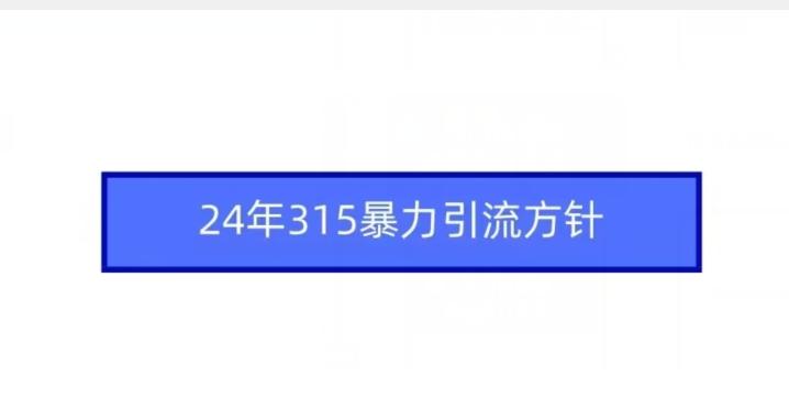 24年315暴力引流方针-百货大全