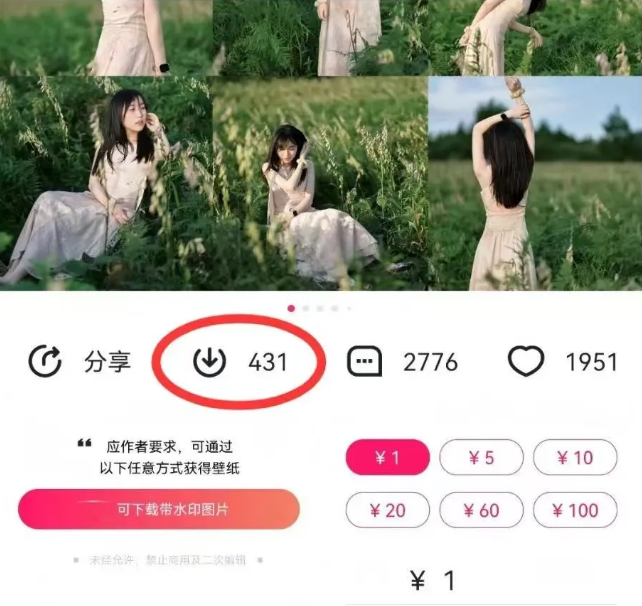 最新图虫搬运项目,收益无上限,利用AI小白也可日赚500+-百货大全