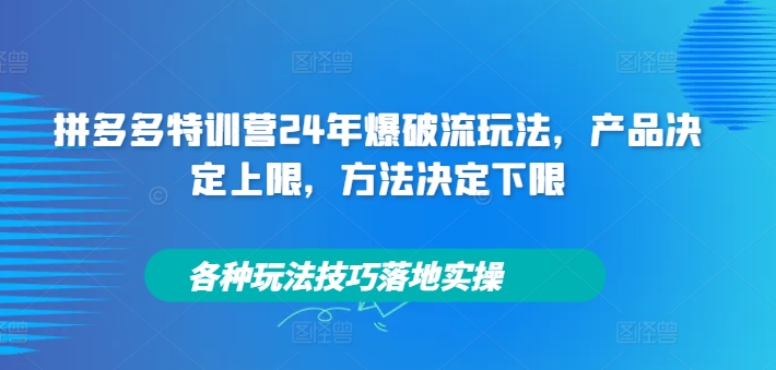 拼多多特训营24年爆破流玩法，产品决定上限，方法决定下限，各种玩法技巧落地实操-百货大全