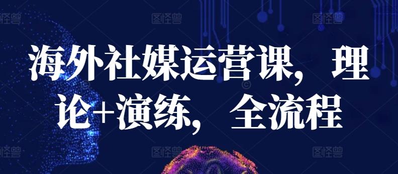 海外社媒运营课，理论+演练，全流程-百货大全