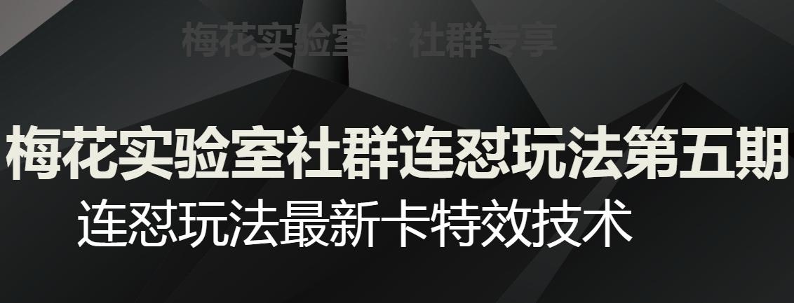 梅花实验室社群连怼玩法第五期，视频号连怼玩法最新卡特效技术-百货大全