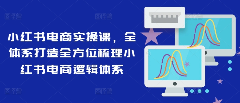 小红书电商实操课，全体系打造全方位梳理小红书电商逻辑体系-百货大全