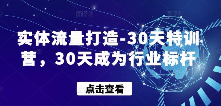 实体流量打造-30天特训营，30天成为行业标杆-百货大全