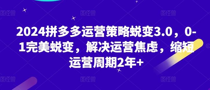 2024拼多多运营策略蜕变3.0，0-1完美蜕变，解决运营焦虑，缩短运营周期2年+-百货大全