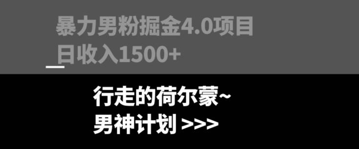 暴力男粉掘金4.0项目不违规不封号无脑复制单人操作日入1000+-百货大全