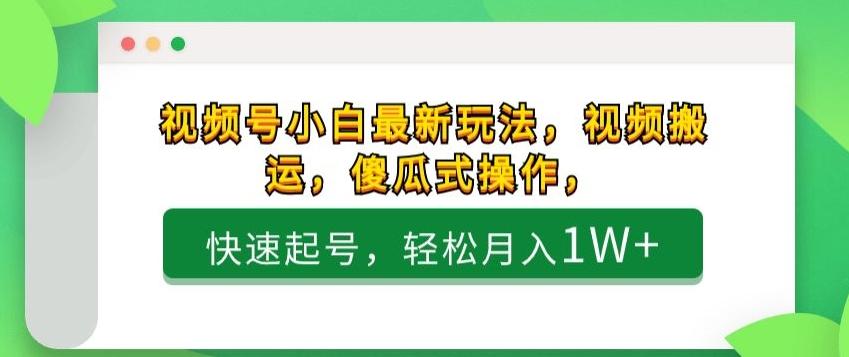 视频号小白最新玩法，视频搬运，傻瓜式操作，快速起号，轻松月入1W+-百货大全