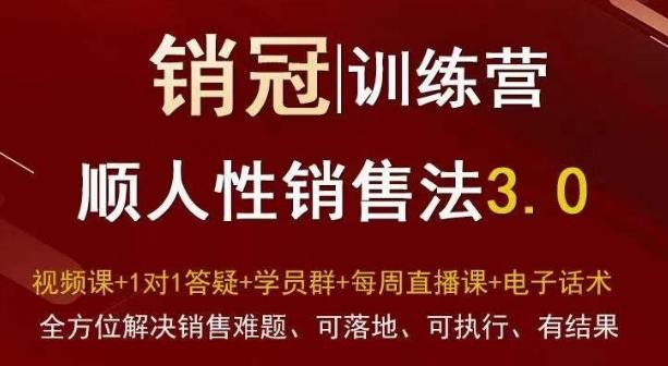 爆款！销冠训练营3.0之顺人性销售法，全方位解决销售难题、可落地、可执行、有结果-百货大全